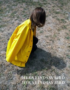 Hera Lindsay Bird - Hera Lindsay Bird