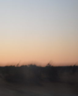 Randolph Stow Memorial Lecture 2018