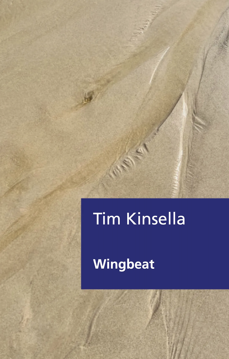 Review of ‘Wingbeat’ by Tim Kinsella
