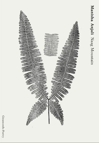 Review of ‘Naag Mountain’ by Manisha Anjali